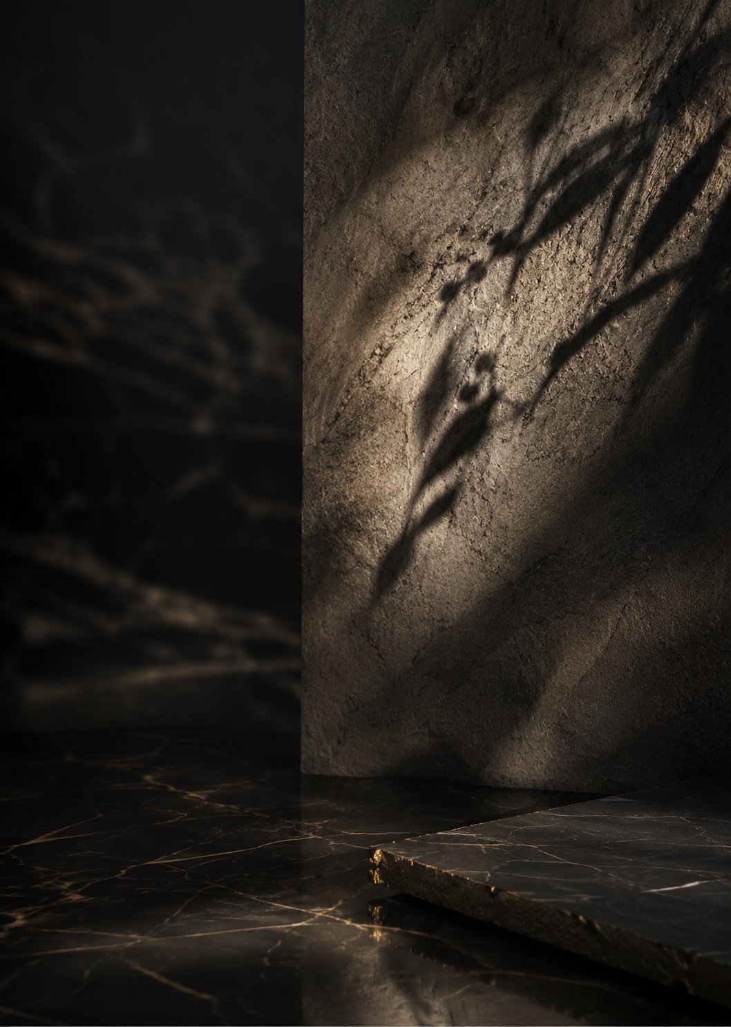 Sculpted dark stone and marble illuminated by tropical leaf shadows
